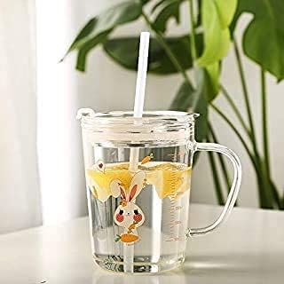 Dolphin Glass Coffee Mug – 370ml Tumbler with Lid & Straw for Coffee, Tea, Juice, and Smoothies